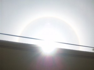 事務所のベランダから