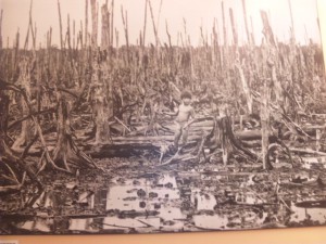 枯葉剤で枯野になった中に立つ子ども