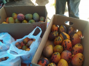 ちょっと見栄えは悪いけど、味は最高!