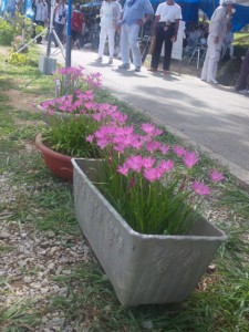 花の絶えないゲート前