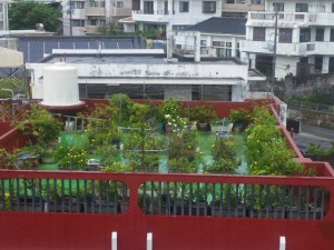 すぐ隣の屋上もみどりがいっぱい！