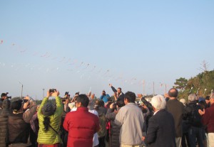 2016_0101_henoko_4322